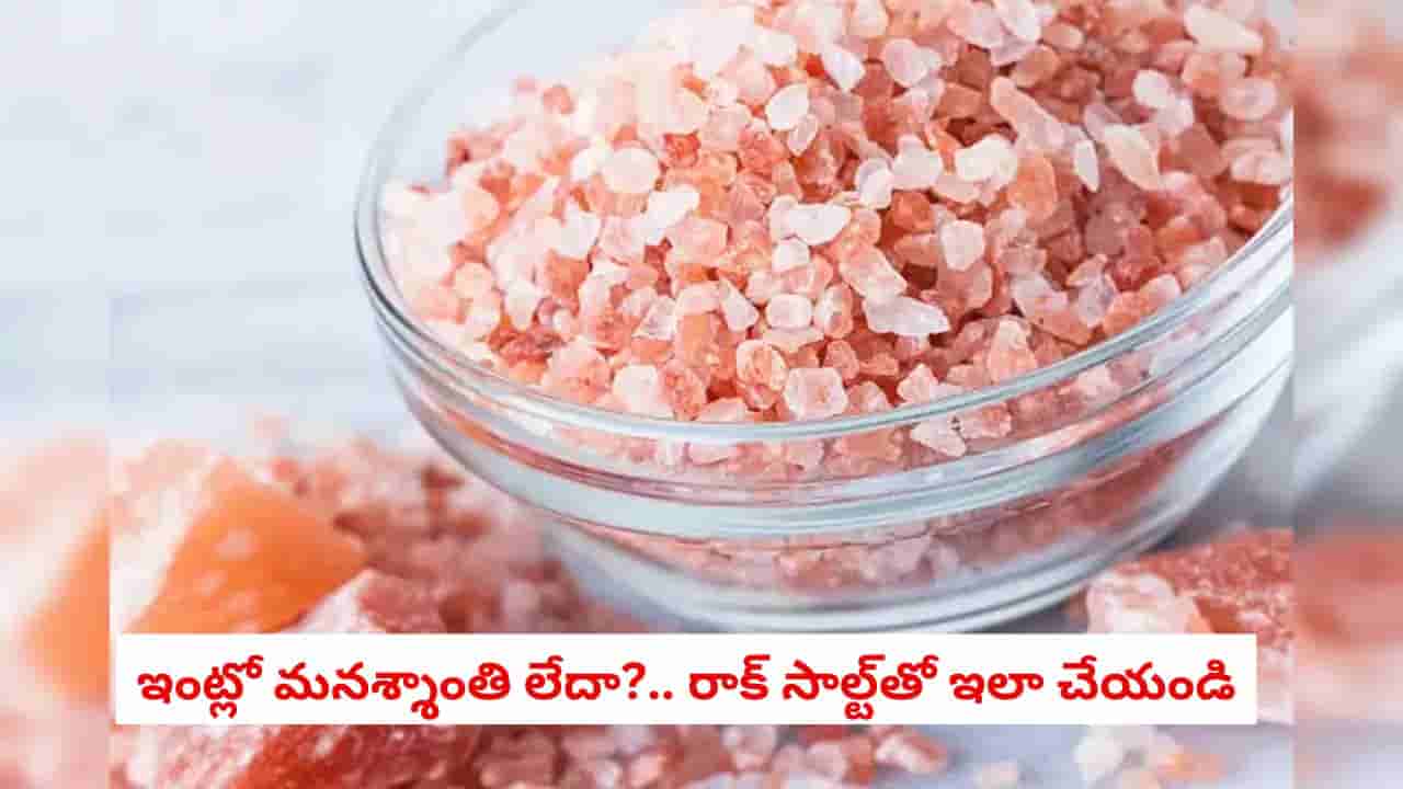 Vastu Tips: మీ ఇంట్లో కూడా ఈ సమస్యలు ఉన్నాయా?.. అయితే వెంటనే ఈ ఉప్పు చిట్కా పాటించండి