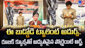 రూబిక్ క్యూబ్స్‌తో అద్భుతమైన పోర్ట్రెయిట్ ఆర్ట్స్