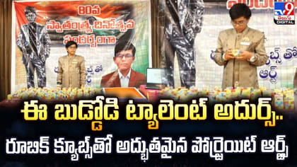 రూబిక్ క్యూబ్స్‌తో అద్భుతమైన పోర్ట్రెయిట్ ఆర్ట్స్