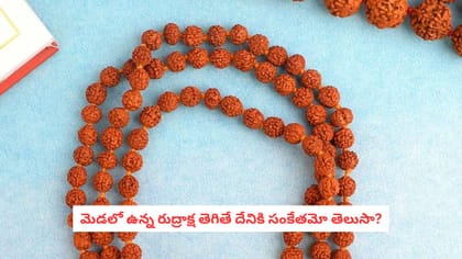 మెడలో ఉన్న రుద్రాక్ష తెగితే దేనికి సంకేతమో తెలుసా?