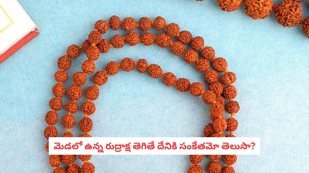 Broken Rudraksha: మెడలో ఉన్న రుద్రాక్ష అకస్మాత్తుగా తెగిపోయిందా? ఇది దేనికి సంకేతం?