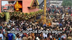 శబరిమల అయ్యప్ప ఆలయం తెరుచుకుంది.. ప్రత్యేకత ఏంటి? దర్శనాలు..