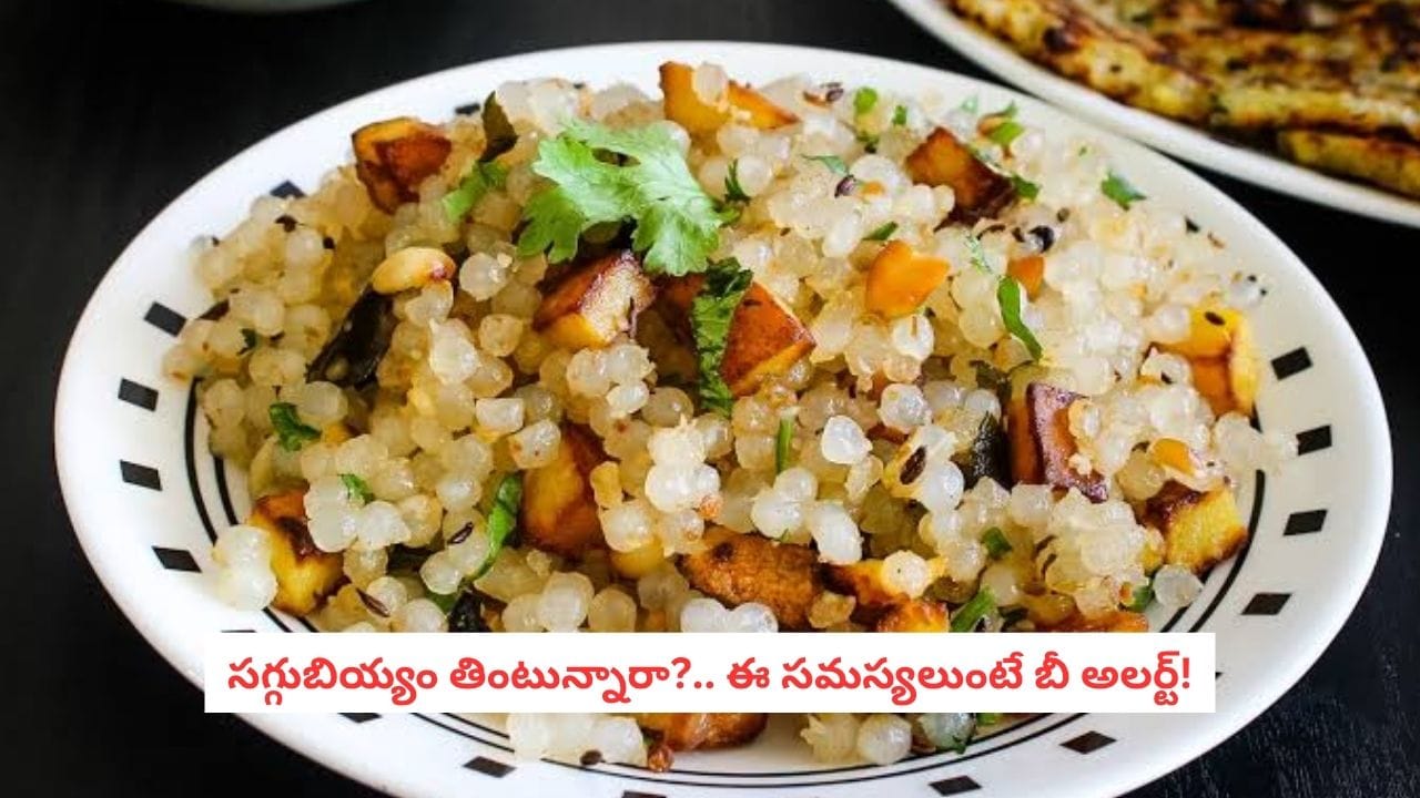 Sabudana Health Risks: ఉపవాసంలో సగ్గుబియ్యం తింటున్నారా? ఈ సమస్యలున్నవారు అతిగా తింటే మొదటికే మోసం!