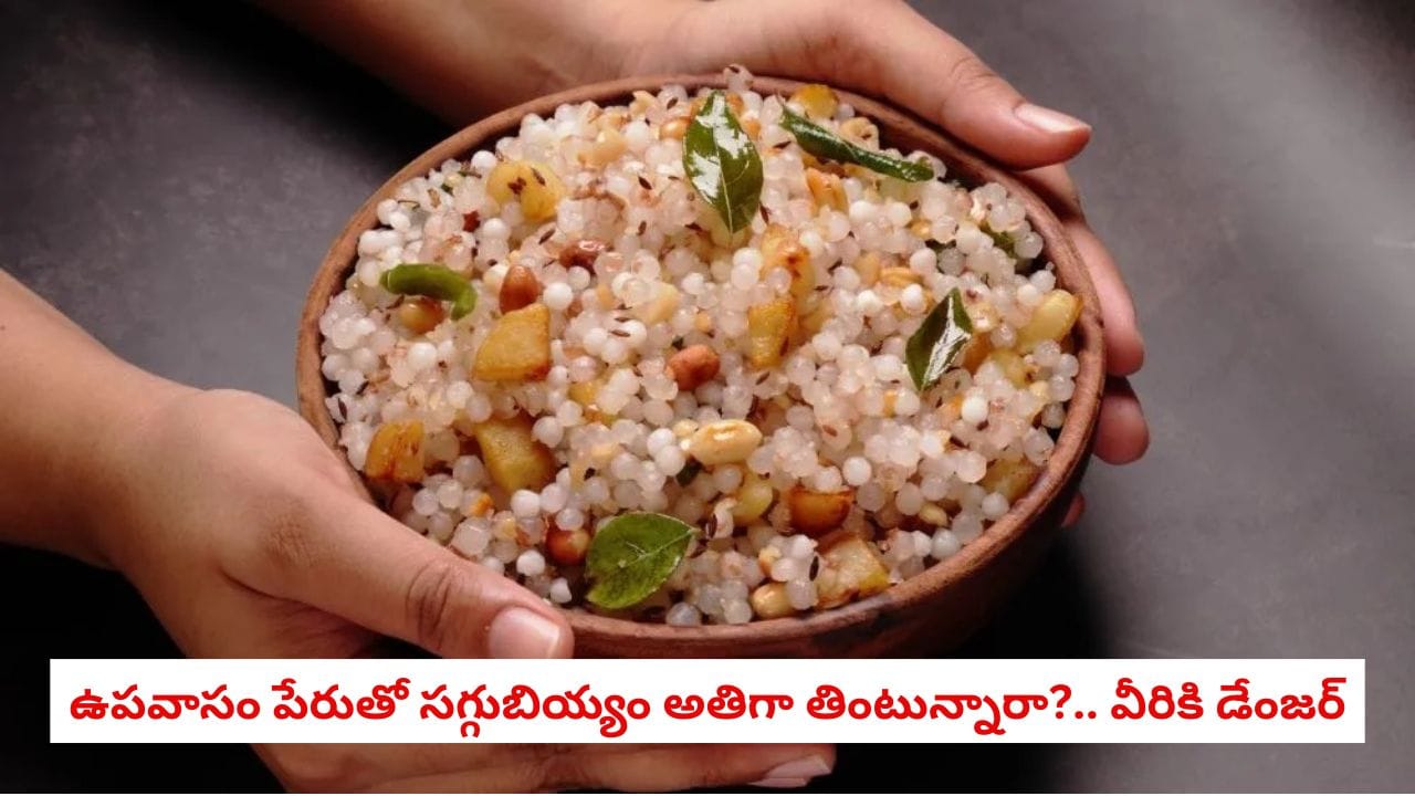 Sabudana & Diabetes: వామ్మో.. సగ్గుబియ్యం తింటున్నారా?.. ఈ విషయం తెలియకపోతే బ్లడ్ షుగర్ పెరిగే ప్రమాదం!
