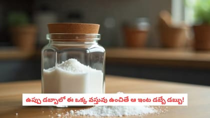 ఉప్పు డబ్బాలో ఈ ఒక్క వస్తువు ఉంచితే ఆ ఇంట డబ్బే డబ్బు!