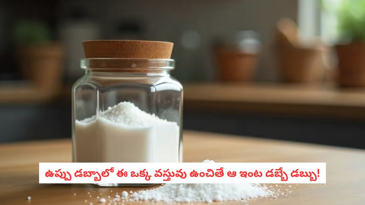 Vastu Tips: ఉప్పు డబ్బాలో ఈ చిన్న వస్తువు ఉంచండి.. ఇక డబ్బుకు లోటుండదు!