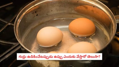 గుడ్లు ఉడికించేటప్పుడు ఉప్పు ఎందుకు వేస్తారో తెలుసా?