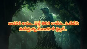 అడవికి శాపం.. వెళ్తే తిరిగి రాలేదు.. ఓటీటీని ఊపేస్తున్న థ్రిల్లర్