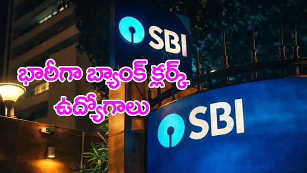 డిగ్రీ అర్హతతో SBIలో 9,766 బ్యాంక్ క్లర్క్ ఉద్యోగాలు.. ఆగస్ట్ 31 వరకే అవకాశం