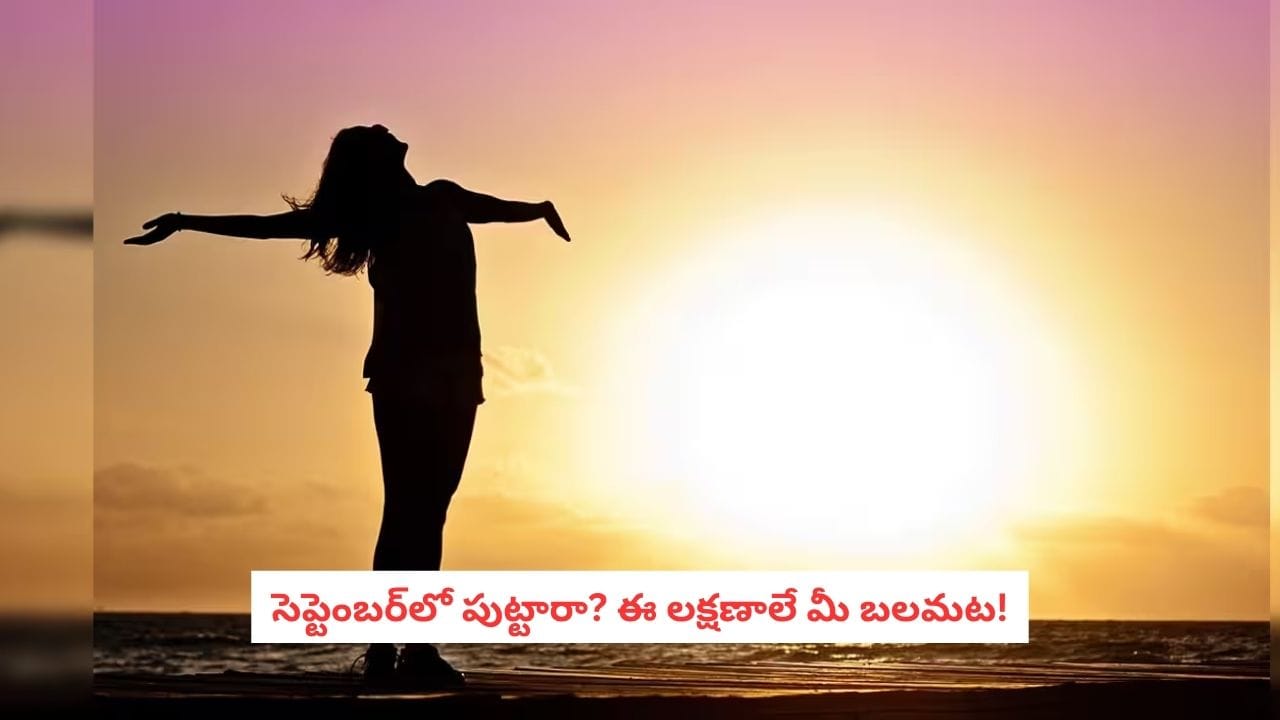 September born people: సెప్టెంబర్లో పుట్టినవారి సీక్రెట్ ఇదే.. ఈ 7 లక్షణాలతో జీవితంలో దూసుకెళ్తారట!