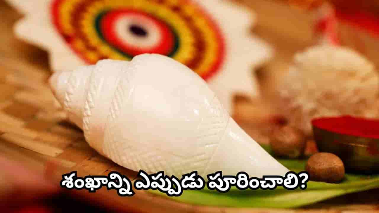Vastu Tips: ఇంట్లో శంఖాన్ని ఏ దిక్కులో ఉంచాలి? లక్ష్మీదేవి అనుగ్రహం కోసం పాటించాల్సిన ఈ నియమాలు తెలుసా?