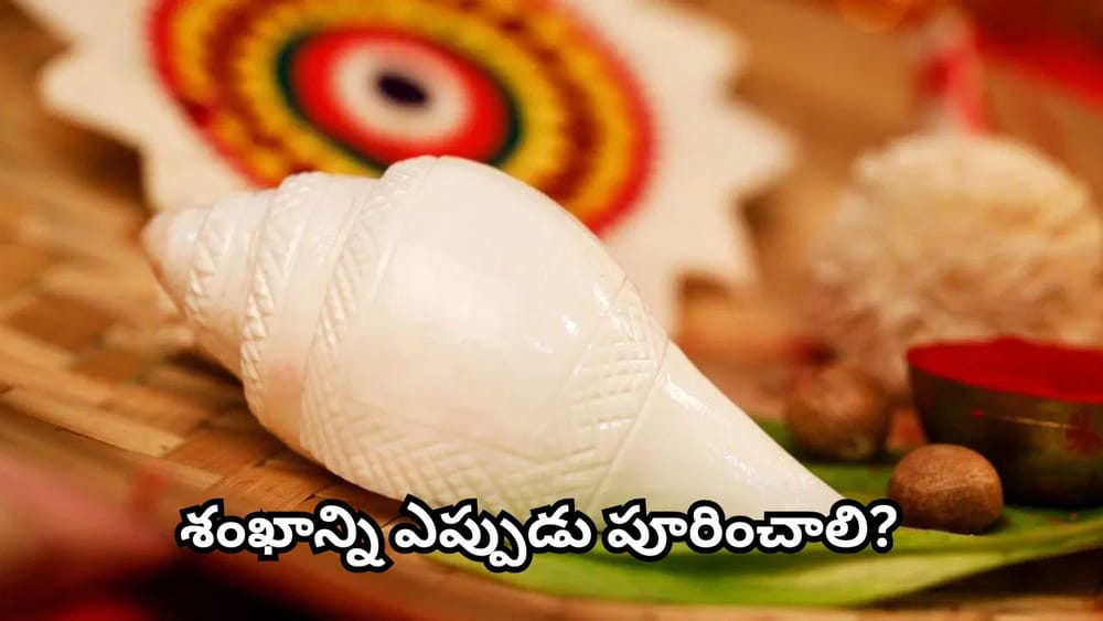 Vastu Tips: ఇంట్లో శంఖాన్ని ఏ దిక్కులో ఉంచాలి? లక్ష్మీదేవి అనుగ్రహం కోసం పాటించాల్సిన ఈ నియమాలు తెలుసా?