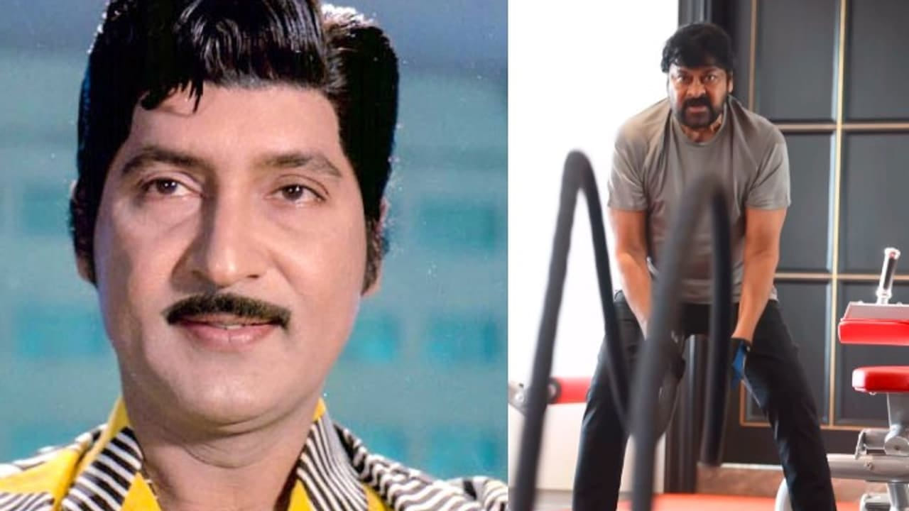 Chiranjeevi: శోభన్ బాబు మాట నిజం చేసిన చిరంజీవి..
