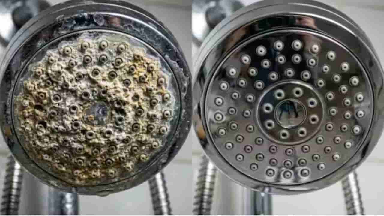 Cleaning Tips: షవర్లో నుంచి వాటర్ సరిగ్గా రావట్లేదా? ఈ చిన్న చిట్కాతో నిమిషాల్లో క్లీన్ చేసుకోండి