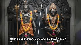 శ్రావణ శనివారం ఇలా శివారాధన చేస్తే.. ఏలినాటి శని, అష్టమ శని..
