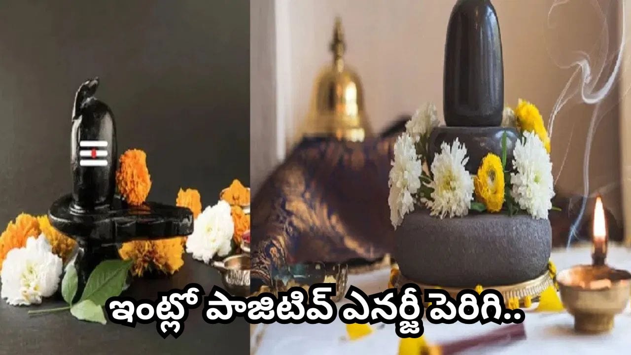 సుఖశాంతులు, ఐశ్వర్యం కలగాలంటే.. శ్రావణ మాసంలో ఈ పవిత్ర వస్తువులను ఇంటికి తీసుకురండి
