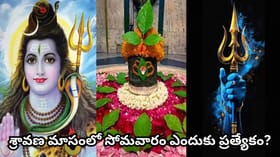 శ్రావణ సోమవారం వ్రతం మహిమ తెలుసా? శివారాధనతో కలిగే శుభఫలితాలు ఇవే