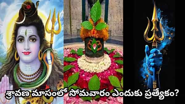 Shravan Somvar Vrat: శ్రావణ సోమవారం వ్రతం మహిమ తెలుసా? శివారాధనతో కలిగే శుభఫలితాలు ఇవే!