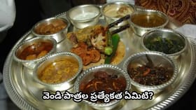 వెండి ప్లేట్లలో భోజనం ఆరోగ్యానికి మంచిదేనా? ఆయుర్వేదం ఏం..