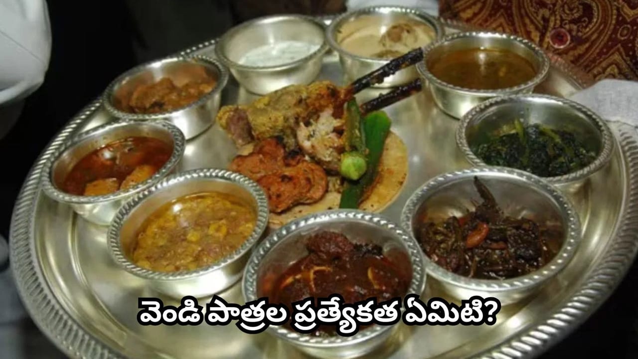 వెండి ప్లేట్లలో భోజనం ఆరోగ్యానికి మంచిదేనా? ఆయుర్వేదం ఏం చెబుతోంది.. కీలక సూచనలు ఇవే!