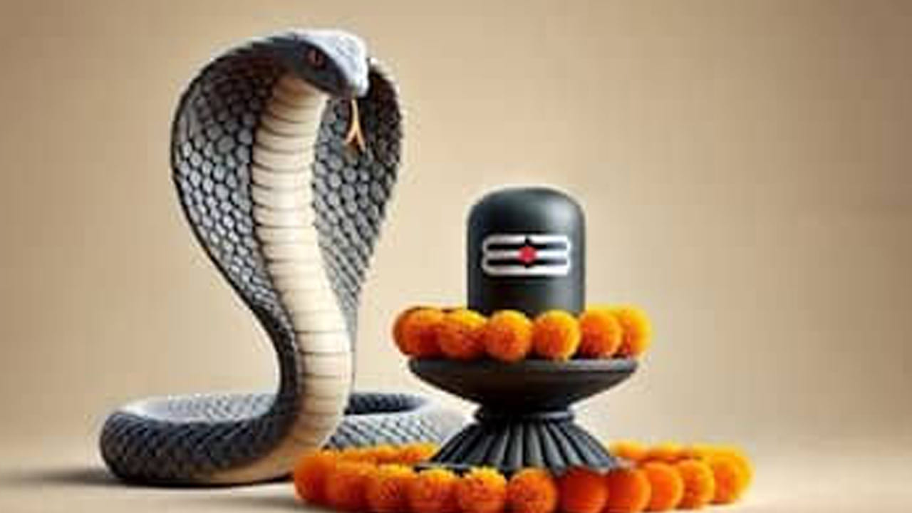ఇక మతపరమైన నమ్మకంగా చూస్తే, శ్రావణ మాసం అంటే శివుడికి చాలా ప్రీతికరమైన మాసం. అందుకే ఈ మాసంలో శివ నామస్మరణ చేస్తుంటారు. అంతే కాకుండా ఈ సమయంలో సర్ప దేవుడు శివుడిని ఆవరించి ఉంటాడంట. అందువలన ఈ మాసంలోనే నాగపంచమి వేడుకలు జరుపుకుంటారు. పాములకు ప్రత్యేక పూజలు చేస్తారు. అందుకే ఈ సమయంలో పాములు ఎక్కువగా కనిపిస్తాయని అంటుంటారు.