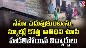 చదువుకుంటాను.. స్కూల్లో కొత్త అతిథిని చూసి హడలిపోయిన విద్యార్ధులు