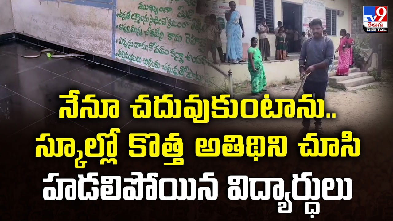 నేనూ చదువుకుంటాను.. స్కూల్లో కొత్త అతిథిని చూసి హడలిపోయిన విద్యార్ధులు నేనూ చదువుకుంటాను.. స్కూల్లో కొత్త అతిథిని చూసి హడలిపోయిన విద్యార్ధులు