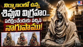 నిర్మాణంలో ఉన్న శివుని విగ్రహం.. పరీక్షించేందుకు వచ్చిన నాగుపాము!