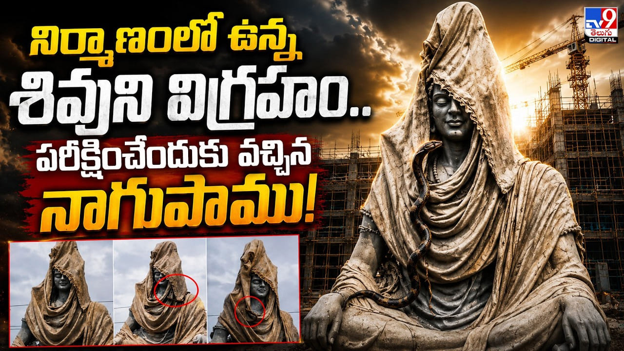 నిర్మాణంలో ఉన్న శివుని విగ్రహం.. పరీక్షించేందుకు వచ్చిన నాగుపాము! నిర్మాణంలో ఉన్న శివుని విగ్రహం.. పరీక్షించేందుకు వచ్చిన నాగుపాము!