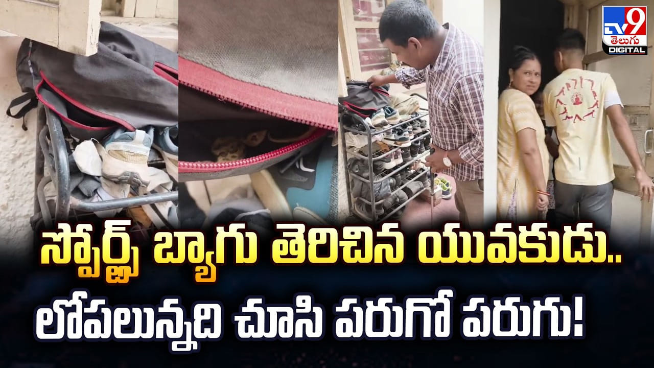 స్పోర్ట్స్బ్యాగు తెరిచిన యువకుడు.. లోపలున్నది చూసి పరుగో పరుగు స్పోర్ట్స్బ్యాగు తెరిచిన యువకుడు.. లోపలున్నది చూసి పరుగో పరుగు