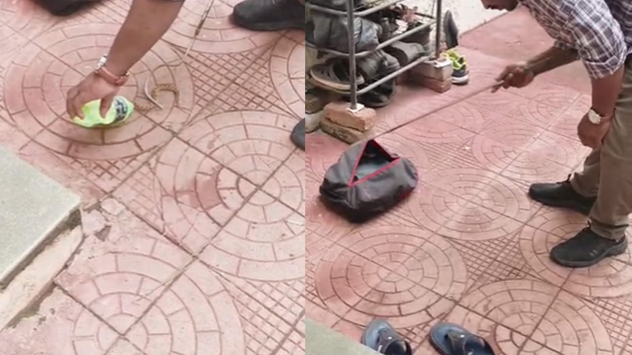 Snake 4