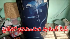ఒడిశాలో వింత ఘటన: ఫ్రిజ్‌ ఓపెన్ చేసిన యజమాని