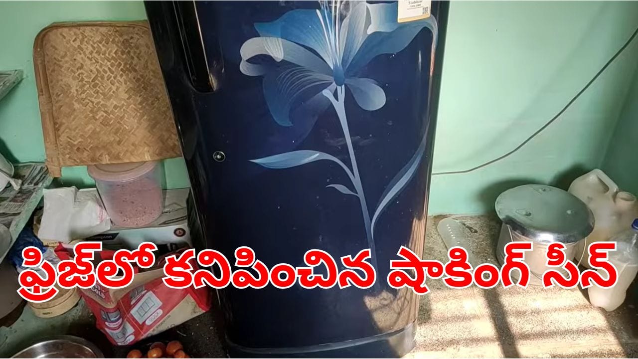Viral Video: ఫ్రిజ్ క్లీన్ చేద్దామని వెళ్లిన మహిళ.. డోర్ తీయగానే కనిపించింది చూసి.. గట్టిగా కేకలు