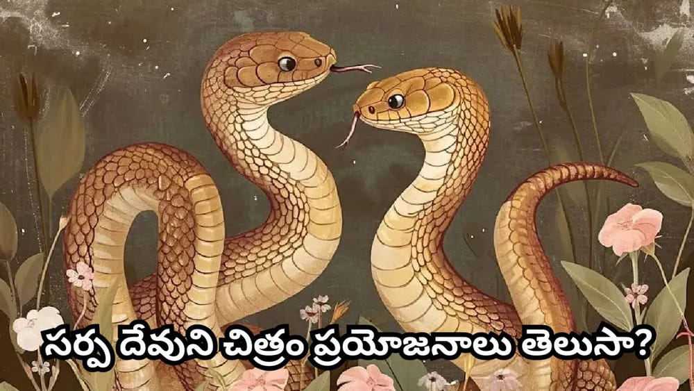 ఇంట్లో జంట పాముల ఫోటో ఉందా? వాస్తు ప్రకారం ఈ దిశలో ఉంచితే శుభ ఫలితాలు!
