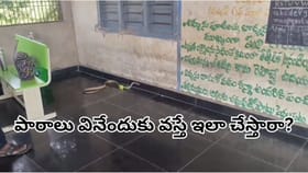క్లాస్‌రూమ్‌లోకి దూరిన భారీ జెర్రిపోతు.. విద్యార్థులు ఏం చేశారంటే