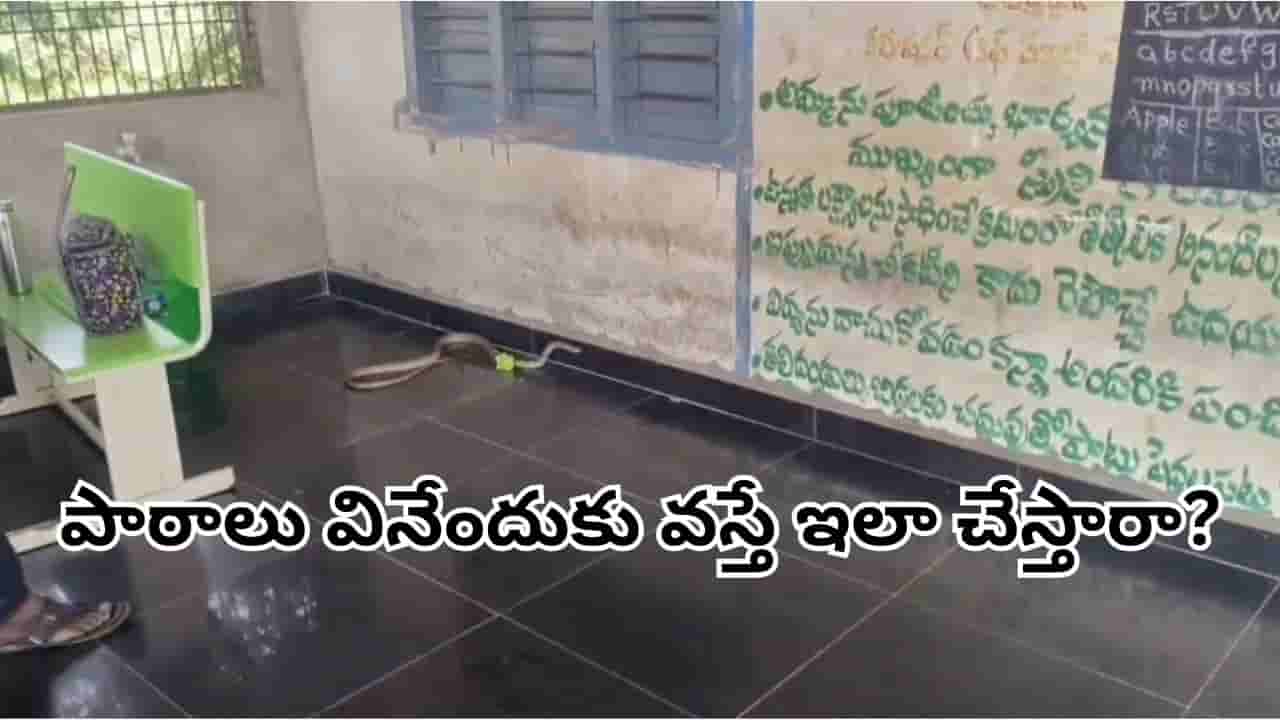 Viral Video: క్లాస్రూమ్లోకి దూరిన భారీ జెర్రిపోతు.. విద్యార్థులు తెలివిగా ఏం చేశారో తెలిస్తే..
