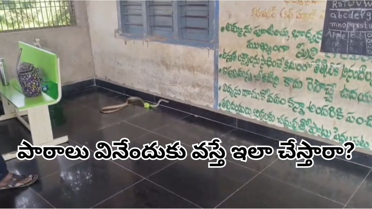 Viral Video: క్లాస్రూమ్లోకి దూరిన భారీ జెర్రిపోతు.. విద్యార్థులు తెలివిగా ఏం చేశారో తెలిస్తే..