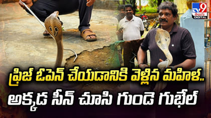 ఫ్రిజ్‌ ఓపెన్‌ చేయడానికి వెళ్లిన మహిళ.. సీన్‌ చూసి గుండె గుభేల్‌