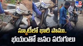 స్కూటీలో భారీ పాము..భయంతో జనం పరుగులు