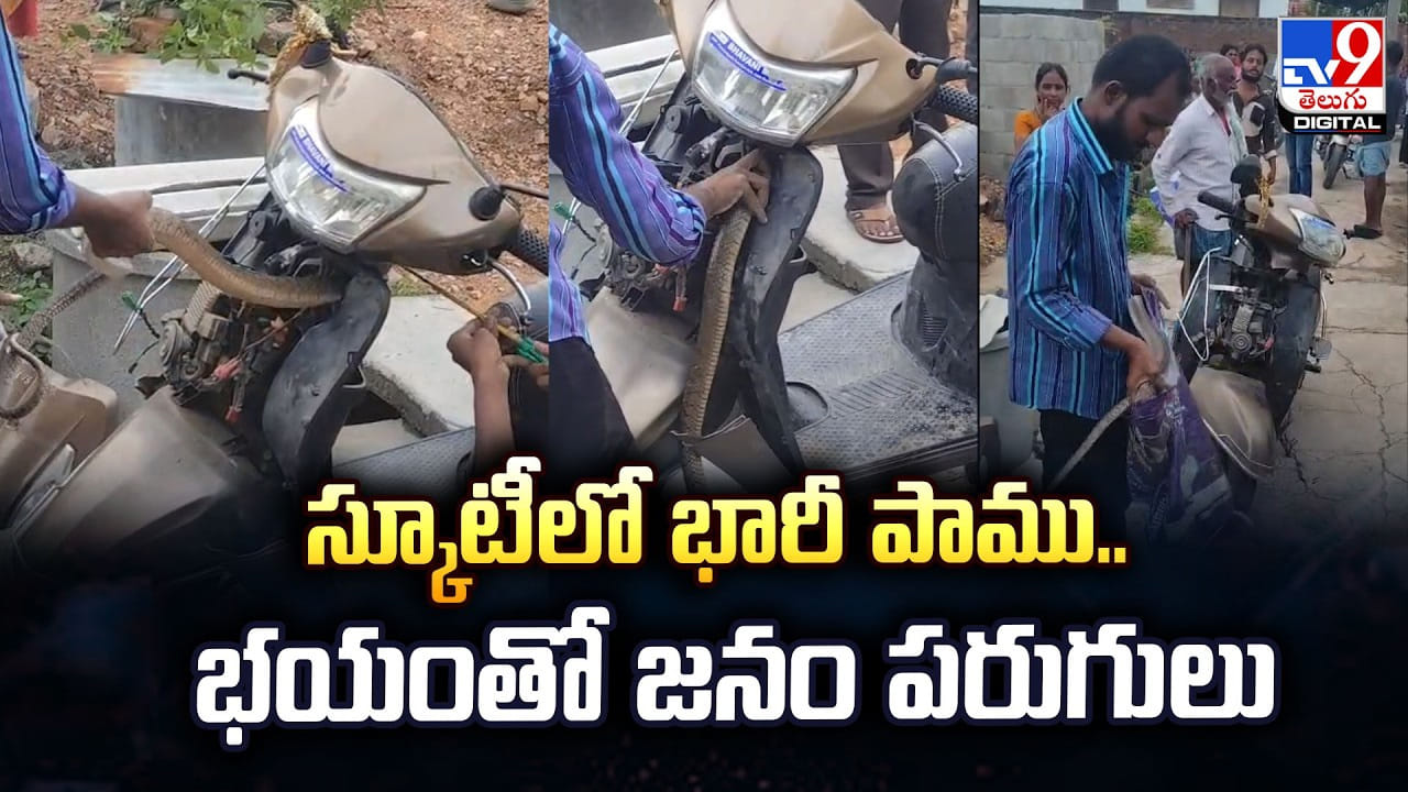 స్కూటీలో భారీ పాము..భయంతో జనం పరుగులు స్కూటీలో భారీ పాము..భయంతో జనం పరుగులు