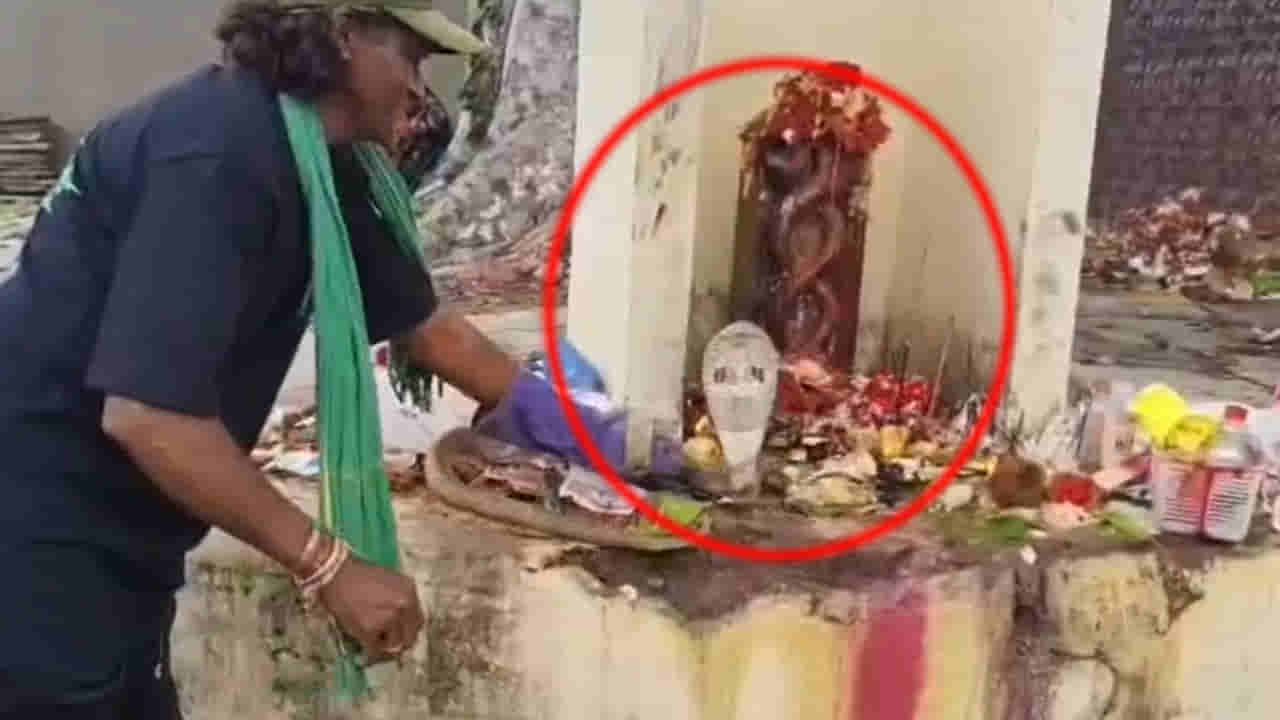 Watch: ఇది కదా నిజమైన నాగుల పంచమి.. పూజలు చేస్తుండగా.. నాగుపాము ప్రత్యక్షం!