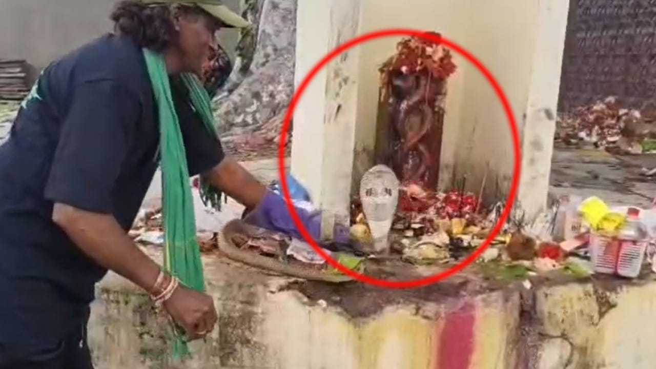 Watch: ఇది కదా నిజమైన నాగుల పంచమి.. పూజలు చేస్తుండగా.. నాగుపాము ప్రత్యక్షం!