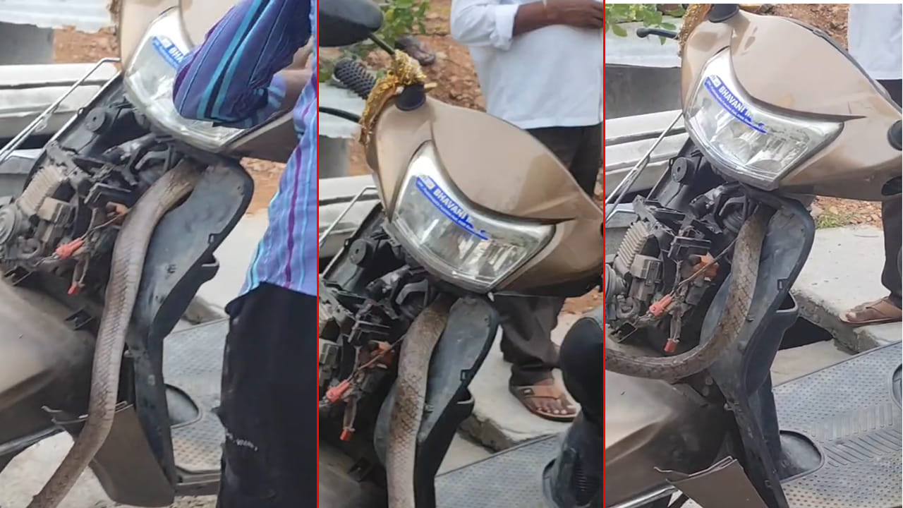 Snake: స్కూటీ స్టార్ట్ చేసేలోపే షాక్.. లోపల దూరిన భారీ పాము.. వీడియో వైరల్‌..!