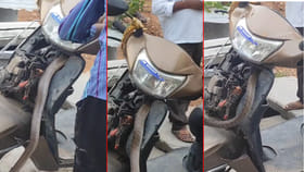 స్కూటీ స్టార్ట్ చేసేలోపే షాక్.. లోపల దూరిన భారీ పాము.. వీడియో