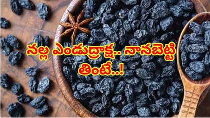 ఉదయాన్నే నానబెట్టిన నల్ల కిస్‌మిస్ తింటున్నారా? ఆరోగ్య ప్రయోజనాలు