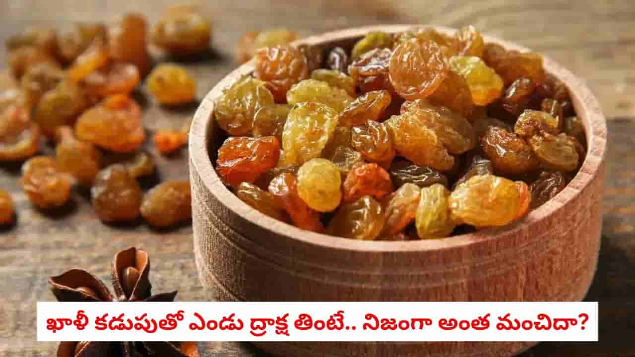 Soaked Raisins Benefits: డ్రై ఫ్రూట్స్లో దీన్ని మాత్రం మర్చిపోవద్దు.. నానబెట్టిన ఎండు ద్రాక్ష ఎందుకు స్పెషల్ అంటే!