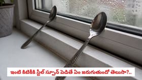 ఇంటి కిటికీకి స్టీల్ స్పూన్ పెడితే ఏం జరుగుతుందో తెలుసా?..