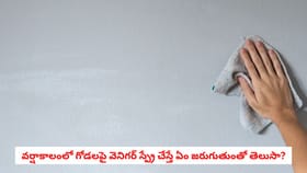 వర్షాకాలంలో గోడలపై వెనిగర్ స్ప్రే చేస్తే ఏం జరుగుతుంతో తెలుసా?