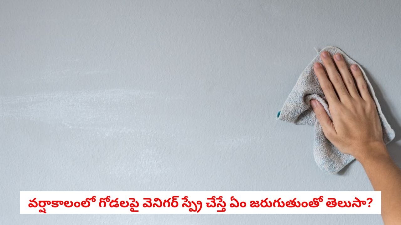 Cleaning Tips: ఇంటి గోడలపై వెనిగర్ ఎందుకు స్ప్రే చేయాలి?.. దీని వెనుక అసలు కారణం తెలిస్తే ఆశ్చర్యపోతారు!