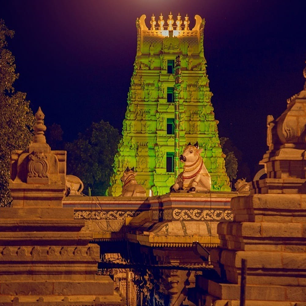 నగదుతో పాటు విలువైన లోహాల రూపంలోనూ భక్తులు తమ మొక్కులు చెల్లించారు. హుండీల్లో 87 గ్రాముల 200 మిల్లీగ్రాముల బంగారం, 4.250 కిలోల వెండి లభించాయి. విదేశాల నుంచి వచ్చే భక్తులు సమర్పించిన వివిధ దేశాల కరెన్సీలు కూడా హుండీ లెక్కింపులో బయటపడ్డాయి. యూఏఈ దిర్హమ్స్ 1,610, అమెరికా డాలర్లు 540, బ్రిటన్ పౌండ్లు 140, బహ్రెయిన్ దినార్లు 109తో పాటు ఇతర దేశాలకు చెందిన కరెన్సీలు లభించాయి.